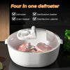 Food Preservation Defroster